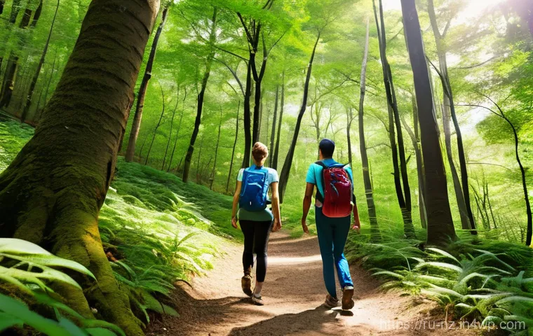 하이킹을 위한 동기부여 방법 - **Prompt 1: The Threshold of Adventure**
A young adult, wearing practical, layered hiking clothe... 하이킹을 위한 동기부여 방법 - **Prompt 1: The Threshold of Adventure**
A young adult, wearing practical, layered hiking clothe...