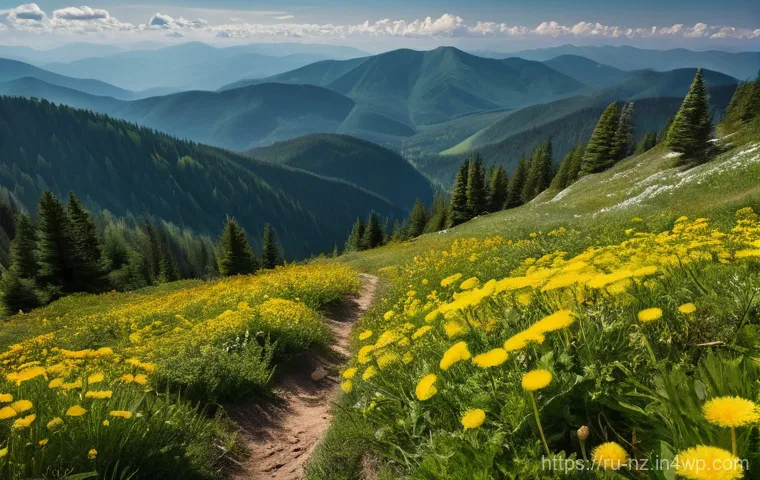 하이킹 중 일어날 수 있는 기상 변화와 대응 전략 - Observing Nature's Weather Cues in the Carpathians**

A lone, adult hiker, fully clothed in practica...