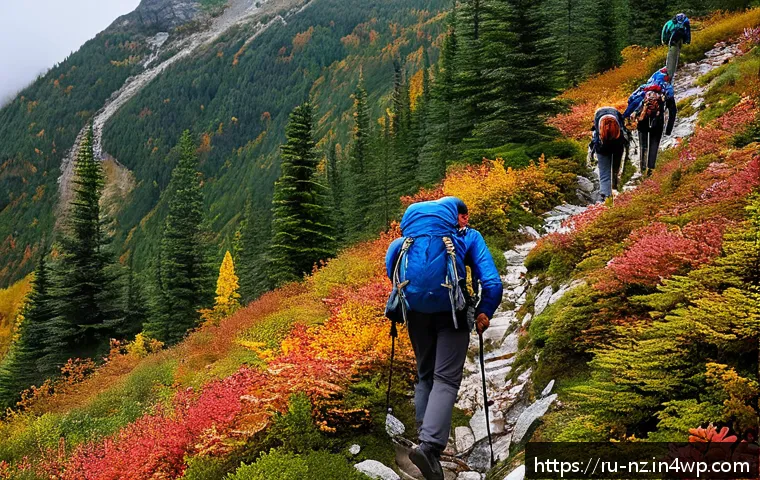 Как выбрать идеальный маршрут для хайкинга: советы для безопасного и увлекательного похода 3 하이킹 코스 선택 시 고려해야 할 요소 관련 이미지 1